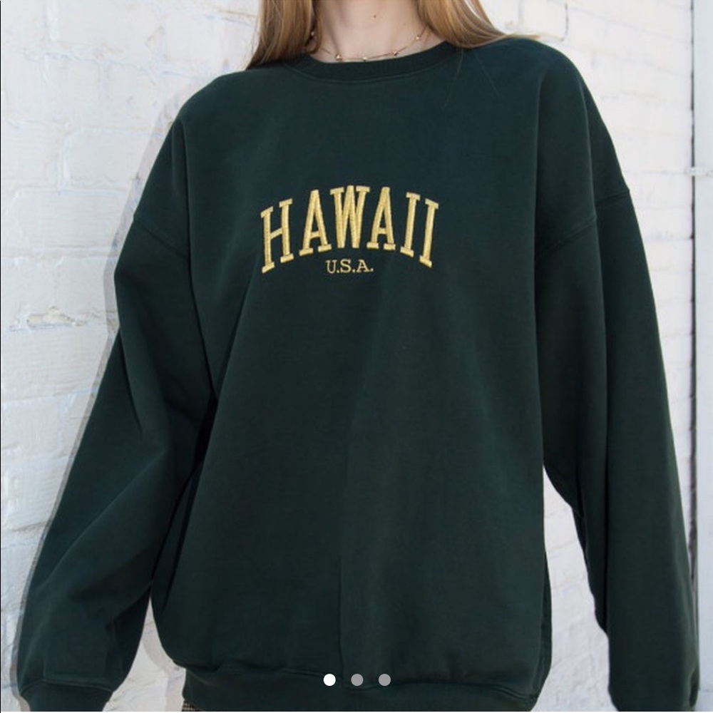 Brandy Melville Hawaii Sweatshirt
